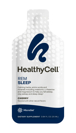 REM Sleep